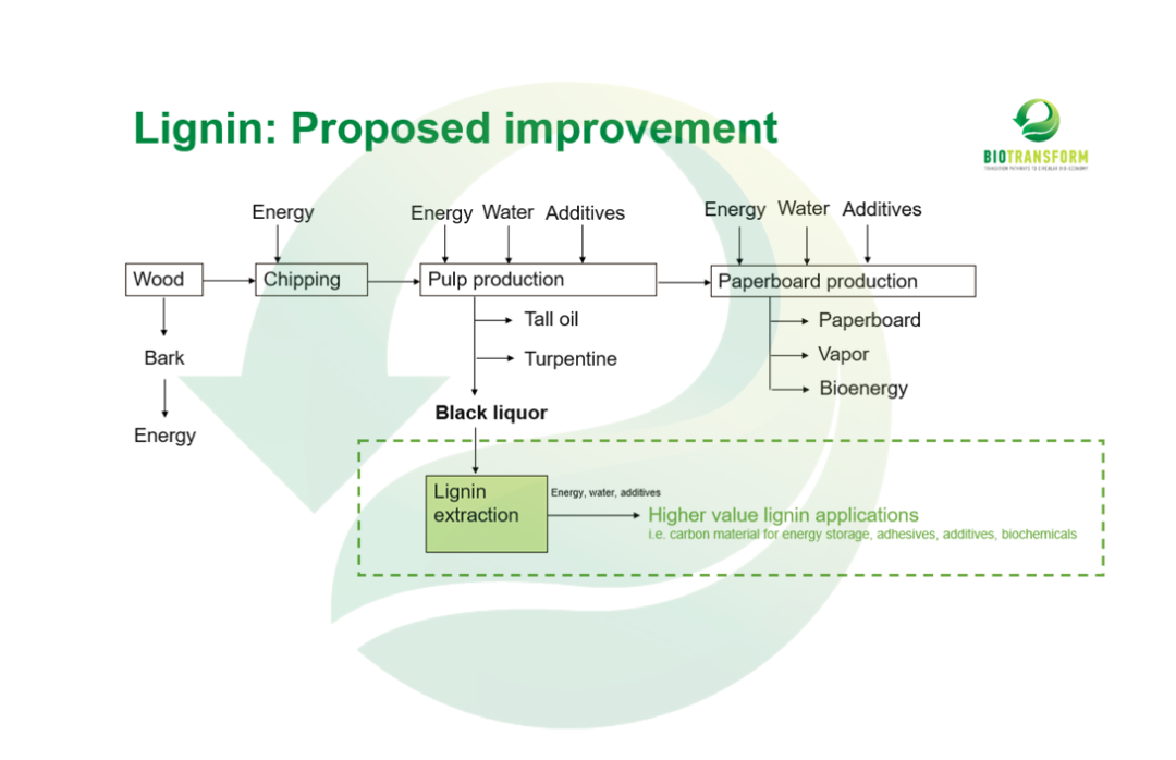 BIOTRANSFORM researchers and regional experts in Finland are working on the transition of the forest industry towards a more efficient circular bio-based economy