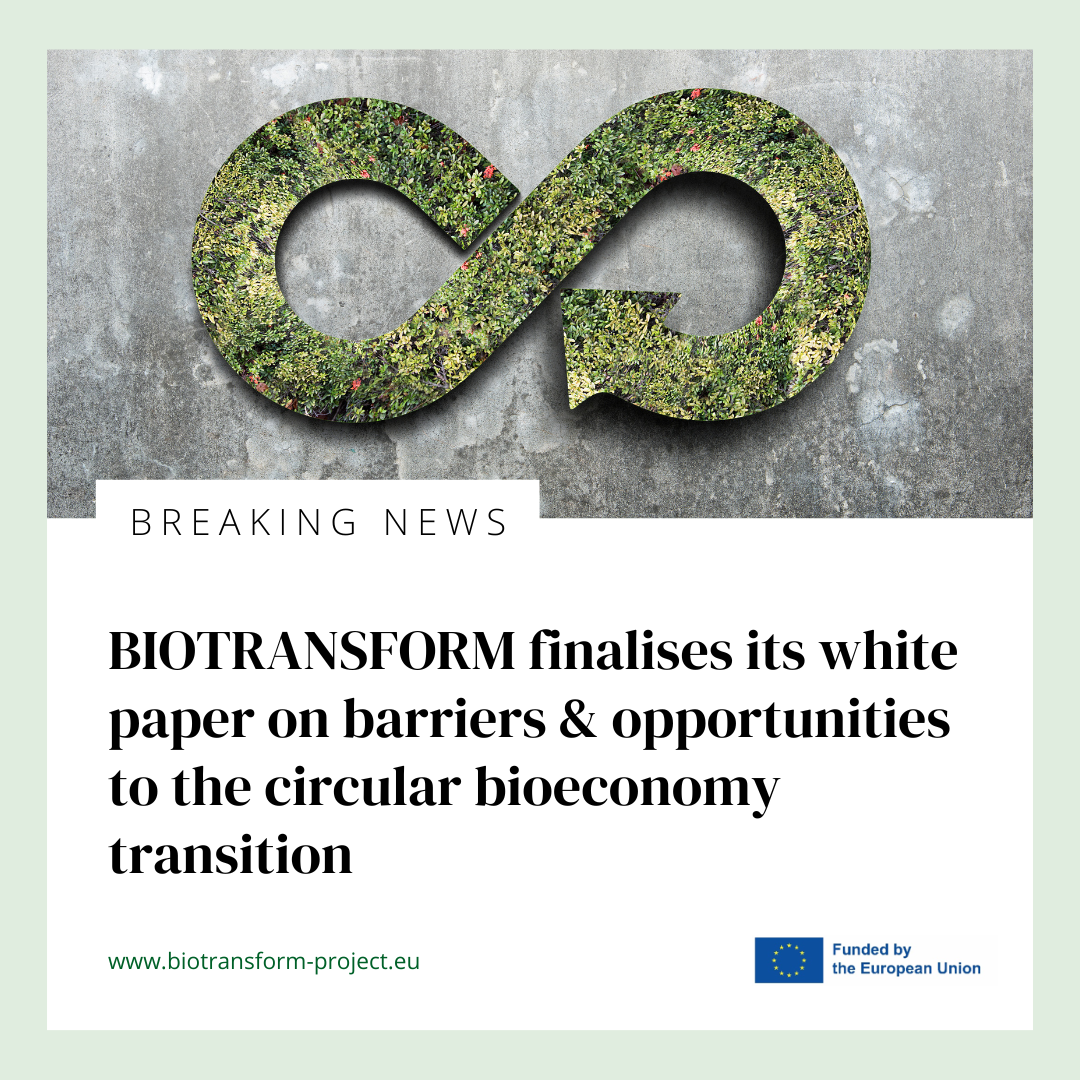 BIOTRANSFORM finalises its white paper on barriers and opportunities to the circular bioeconomy transition