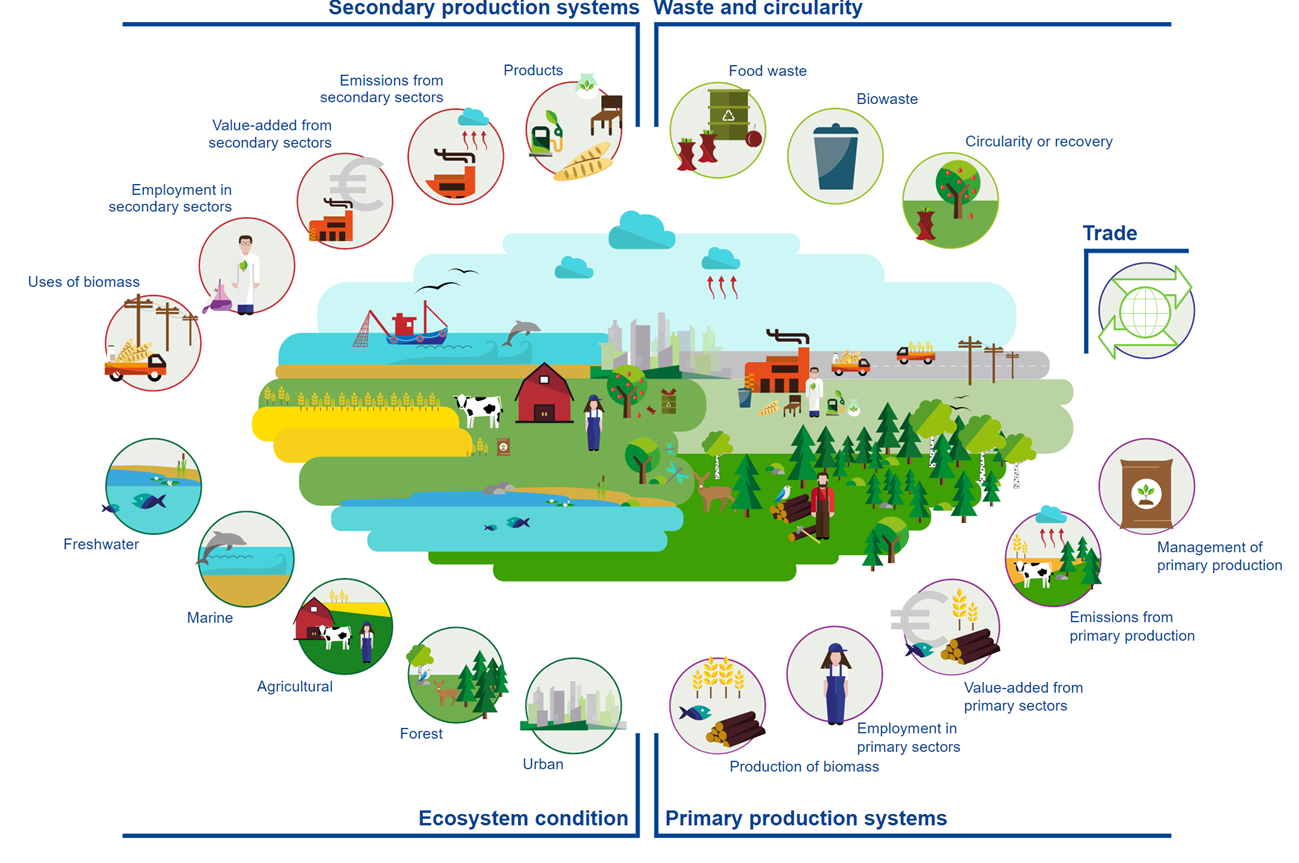 The EU Bioeconomy Monitoring System and BIOTRANSFORM’s approach