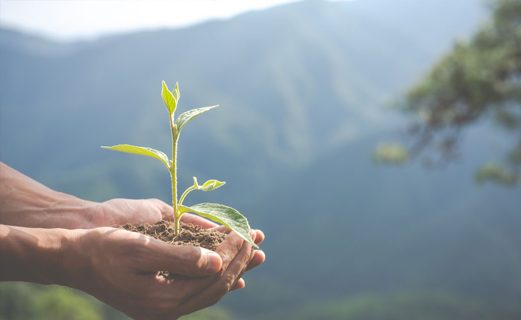 BIOTRANSFORM joins the "Unlock the potential of bio-based and biodegradable plastics: challenges to be addressed" workshop